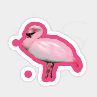 flamingo Sticker